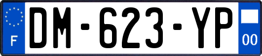 DM-623-YP