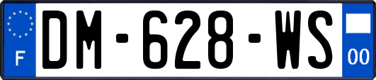 DM-628-WS