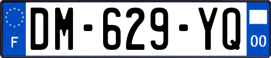 DM-629-YQ