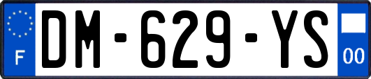 DM-629-YS