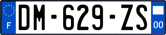 DM-629-ZS