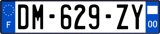 DM-629-ZY