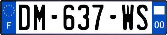 DM-637-WS