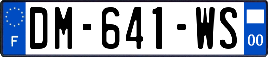 DM-641-WS