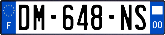 DM-648-NS