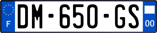 DM-650-GS