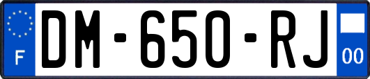 DM-650-RJ