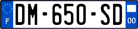 DM-650-SD
