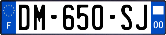 DM-650-SJ