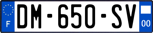 DM-650-SV