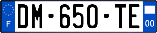 DM-650-TE