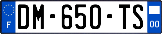 DM-650-TS