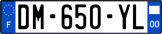 DM-650-YL