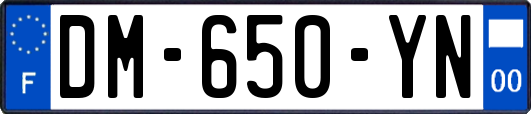 DM-650-YN