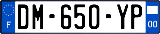 DM-650-YP