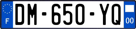 DM-650-YQ