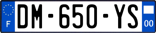 DM-650-YS