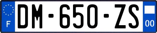 DM-650-ZS