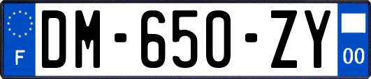 DM-650-ZY