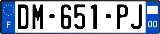 DM-651-PJ
