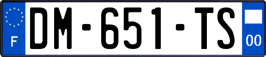 DM-651-TS