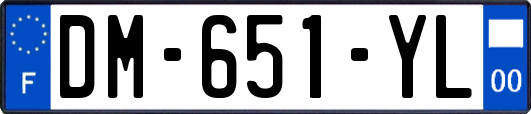 DM-651-YL