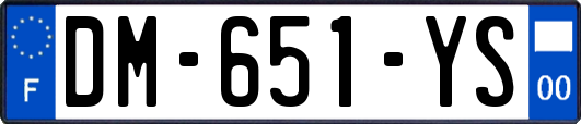 DM-651-YS