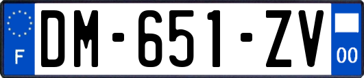 DM-651-ZV