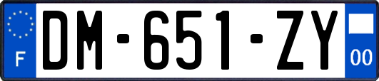 DM-651-ZY