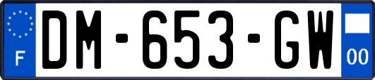 DM-653-GW