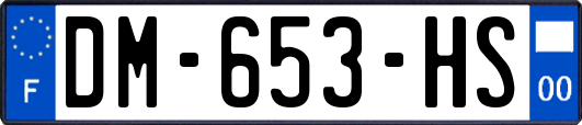 DM-653-HS