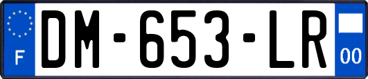 DM-653-LR