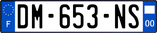 DM-653-NS
