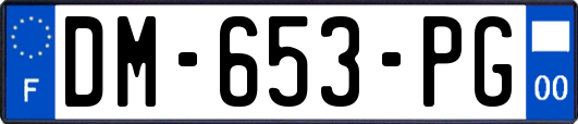 DM-653-PG