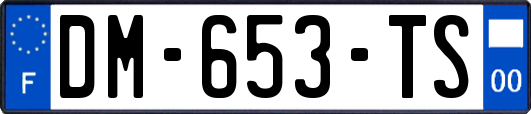 DM-653-TS