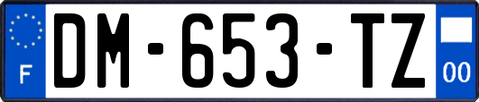 DM-653-TZ