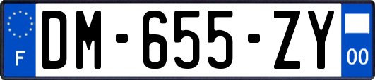 DM-655-ZY