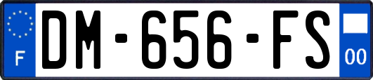 DM-656-FS