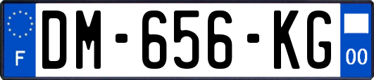 DM-656-KG