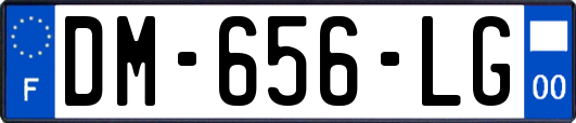 DM-656-LG