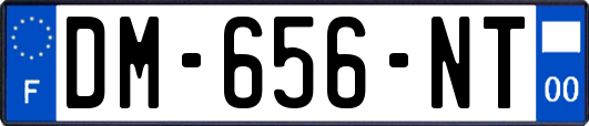 DM-656-NT