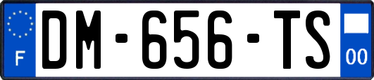 DM-656-TS