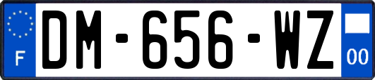 DM-656-WZ