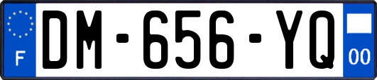 DM-656-YQ