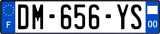 DM-656-YS