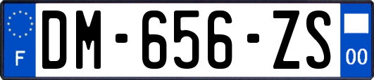 DM-656-ZS