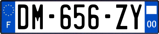 DM-656-ZY