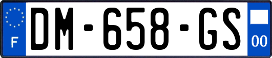 DM-658-GS
