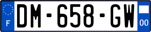 DM-658-GW