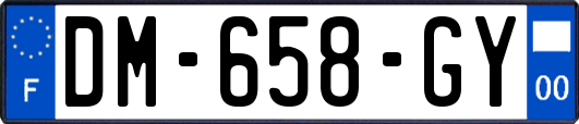 DM-658-GY